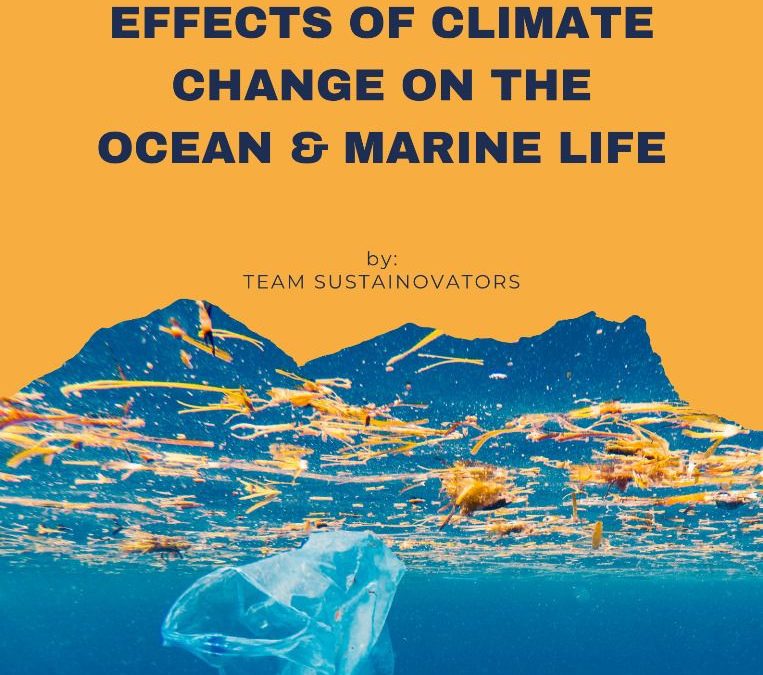 Ocean Acidification – The Effects of Climate Change on the Ocean and Marine Life
